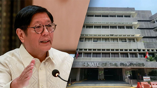 總統府：參議院從未遭到攻擊